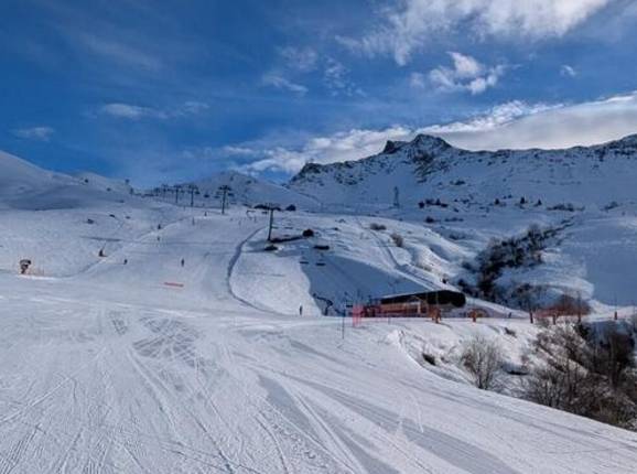 Frêne - © Michael Medek - Photo : Michael Medek