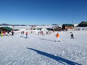 Pistes faciles dans la vallée