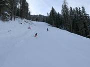 Piste noire n° 14 Balbach-Ochsengarten