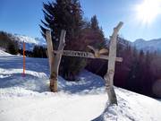 Bon plan pour les enfants : 