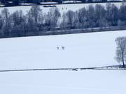 Ski de fond à Kirchdorf in Tirol