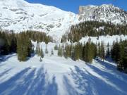 Piste de ski de fond Wurzeralm