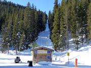 Pfaffenbühel III - Téléski à pioches