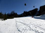 Steinbergriedel n° 11