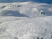 Beaucoup d’espace skiable libre