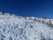 Possibilités de freeride au télésiège 6 places Thurntaler