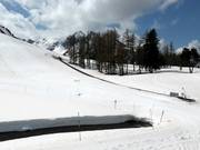 Piste facile avec tapis roulant à Laquette