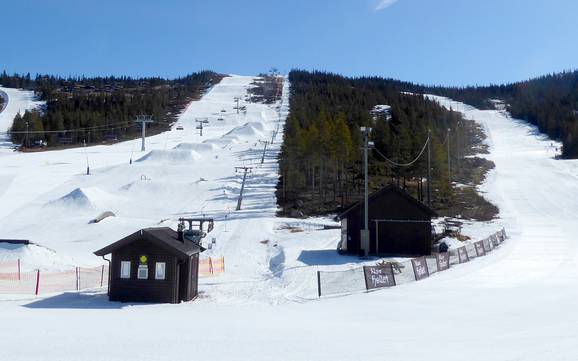 Skier près de Nesbyen