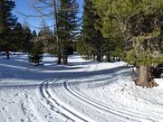 Piste de ski de fond d'altitude à la station supérieure de la télécabine 10 places