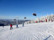 Panorama dans le domaine skiable de Mitterdorf - Ton expérience Almberg
