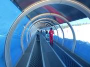 Des tapis roulants modernes transportent les débutants vers le haut.