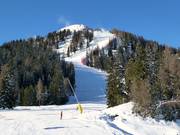 Piste Pancugolo à Madonna di Campiglio