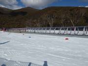 Bon plan pour les enfants : 