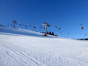 Piste n° 21 G1 Prawa