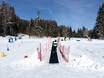 Stations de ski familiales Massif mort (Totes Gebirge) – Familles et enfants Loser – Altaussee