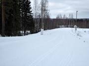 Pistes de ski de fond à Rovaniemi