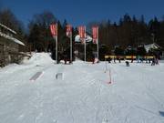 Bon plan pour les enfants : 