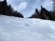 Les pistes à bosses mettent également les experts au défi.