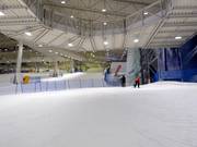 Pente d'entraînement avec tapis roulant