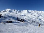 Pistes faciles au Komperdell et au Plansegg à Serfaus