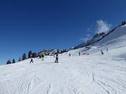 Piste panoramique facile