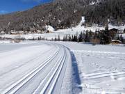 Piste de ski de fond d'altitude à Sulden