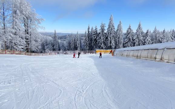Domaines skiables pour les débutants dans l' arrondissement de Freyung-Grafenau – Débutants Mitterdorf – Almberg