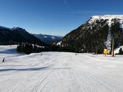 Piste facile Campanil à Pampeago