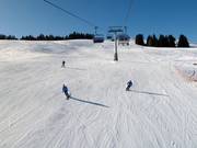 Piste au télésiège Floralpina