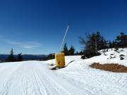 Lance à neige dans le domaine skiable de Norefjell