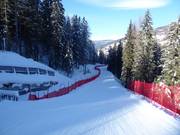 Sentier du renne Rudi à la Rotwand