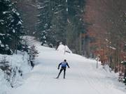 Piste de crête au Ochsenkopf
