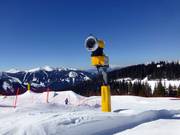 Canons à neige sur la Planai