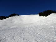 Piste à bosses et pente de poudreuse du Roßkopf au Grünsee