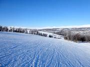 Piste n° 22 Solliftbacken