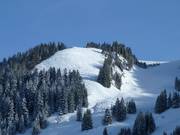 Zone freeride à l'Aberg
