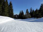 Piste facile Grafenherbergschuss