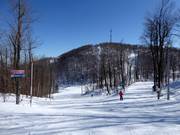 Piste facile Calgary