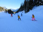 Cours de ski pour enfants dans la station de ski Sunshine Village
