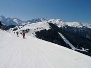 Vue sur Auris avec de nombreuses pistes faciles en bordure du domaine