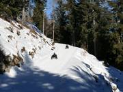 Bon plan pour les enfants : 