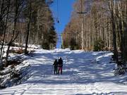 Hochberg Ost (Sonnenlift) - Téléski à pioches