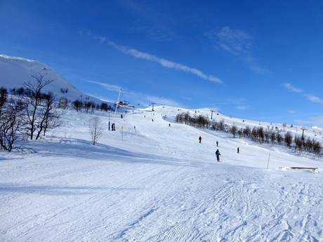 Diversité des pistes Herdalie (Härjedalen) – Diversité des pistes Tänndalen