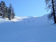 Piste Rifenal n° 1
