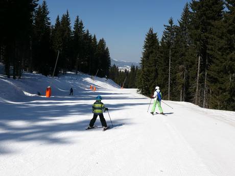 Domaines skiables pour les débutants dans les Rhodopes – Débutants Pamporovo