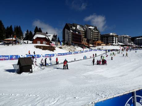 Domaines skiables pour les débutants dans les Alpes dinariques – Débutants Kopaonik