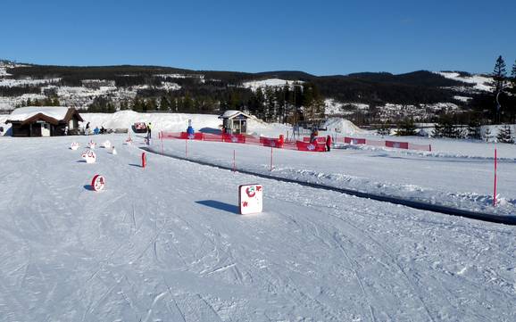 Stations de ski familiales Hedmark – Familles et enfants Trysil