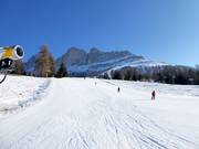 Piste n° 44 Paolina