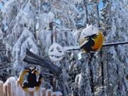 Bon plan pour les enfants :  - Teufelsweg (chemin du diable)