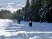 Haldenköpflelift 1 - Téléski à pioches